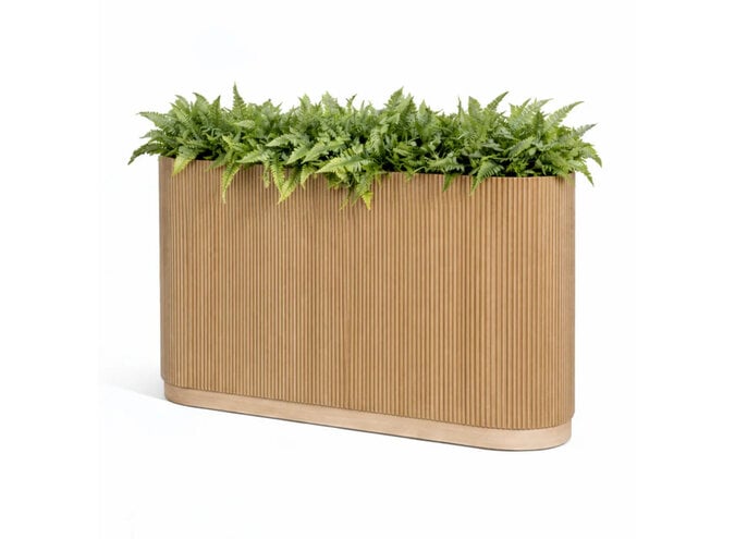 Planter Sakura