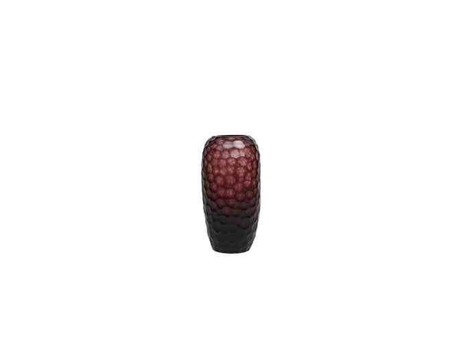 Vaas 'Valnor' Aubergine - S