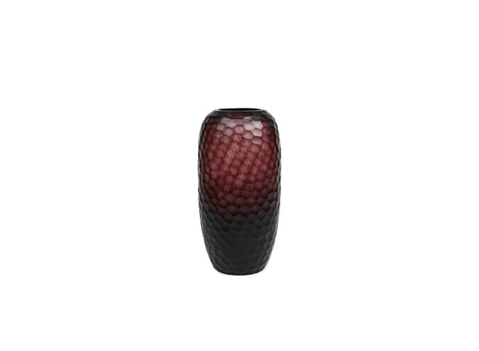 Vaas 'Valnor' Aubergine - M