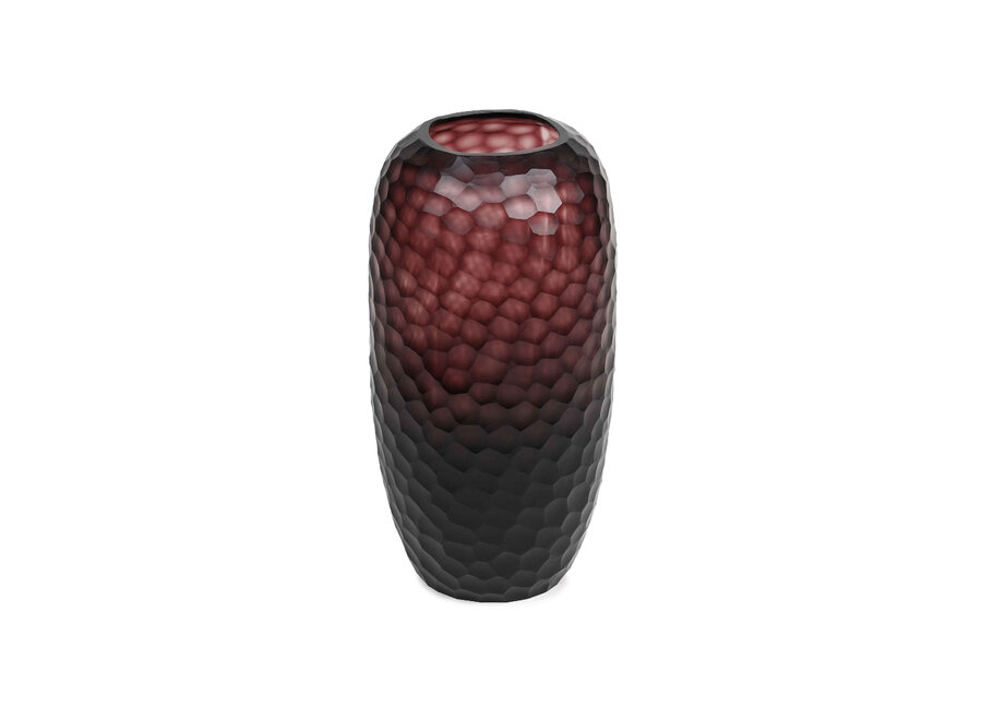 Vaas 'Valnor' Aubergine - M