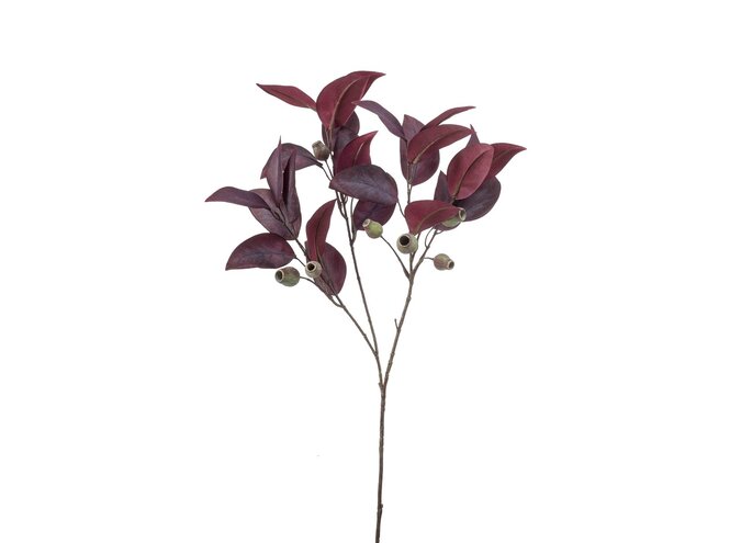 Kunsttakken Eucalyptus set van 2 - burgundy