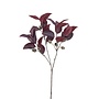 Branches artificielles Eucalyptus lot de 2 - burgundy