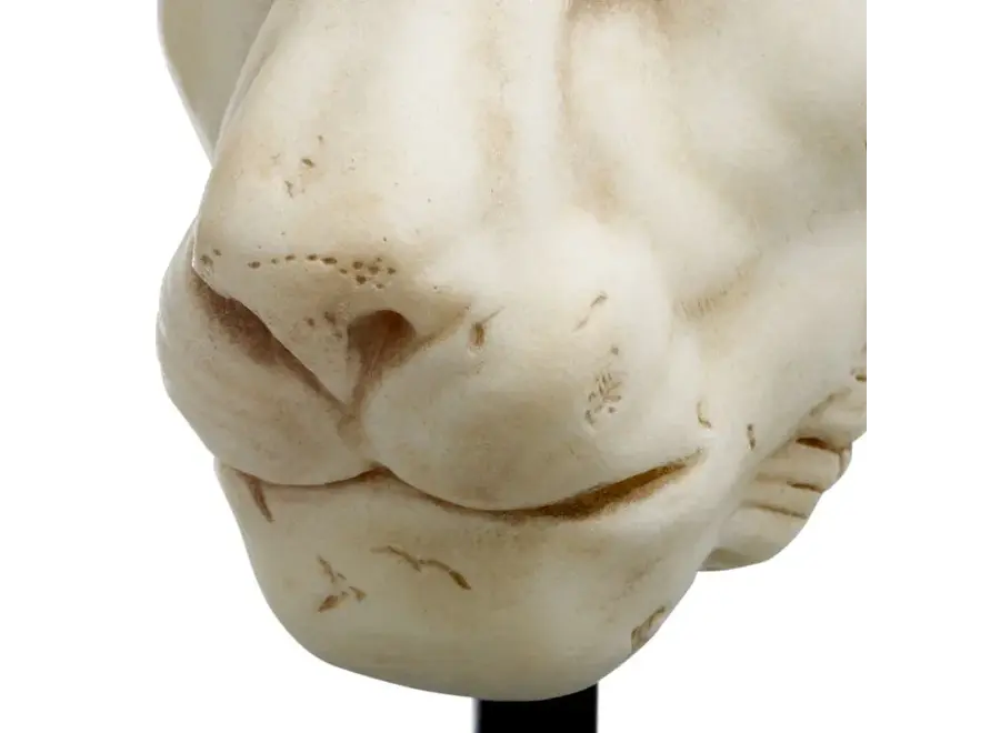 Object 'Lion'
