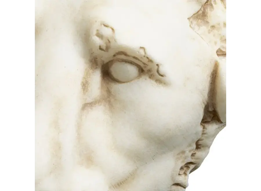 Object 'Lion'