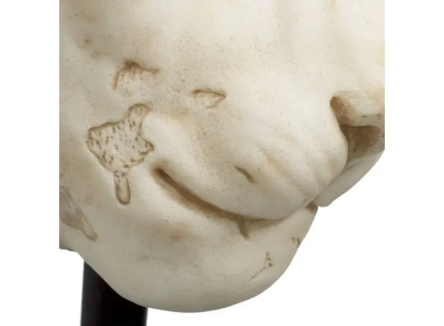 Object 'Lion'