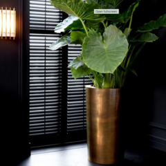 Eichholtz Planters