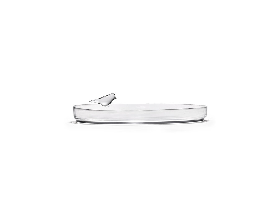 Kelly Wearstler - Perch tray Transparant - L