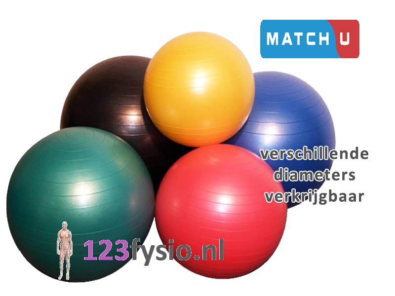 dubbellaag temperen Scheiden Gym Ball | Oefenbal ABS (Anti Burst) - 123fysio.nl
