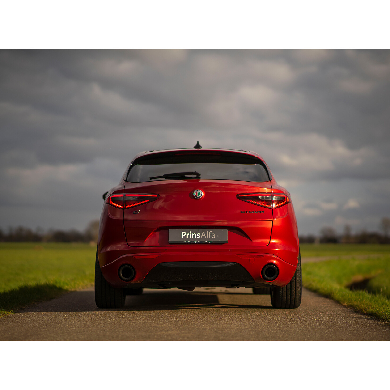 Wielkast randen in de kleur van uw auto