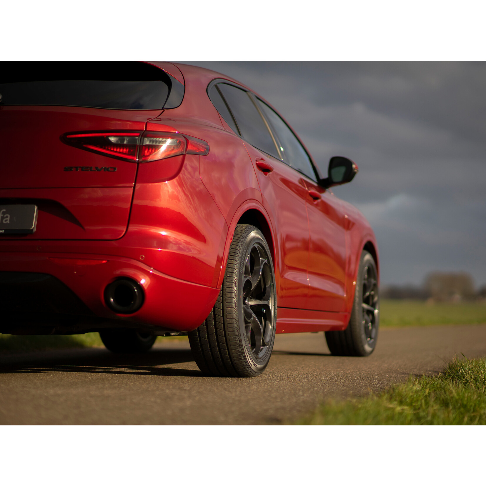 Wielkast randen in de kleur van uw auto