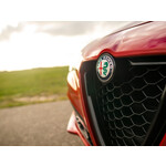 Alfa Romeo Stelvio Grill