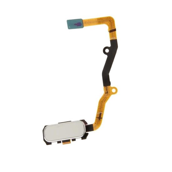 Home Flex Galaxy S7 (G930F)