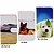 Print Bookcase Galaxy S3 Mini i8190