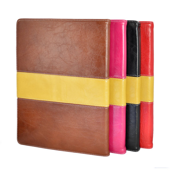 Golden Stripe Case I-Pad Air