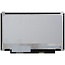 LCD 11,6" Slim 30 Pin (1366 x768) (N116BGE)