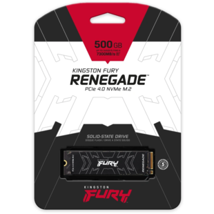 FURY Renegade SSD NVMe 500 Go