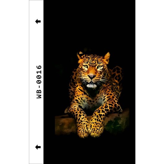 Mobile Phone Back Cover Color Pattern Film  for Cutting Machine