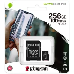 Class C10 SDCS2 Micro 256GB Kingston