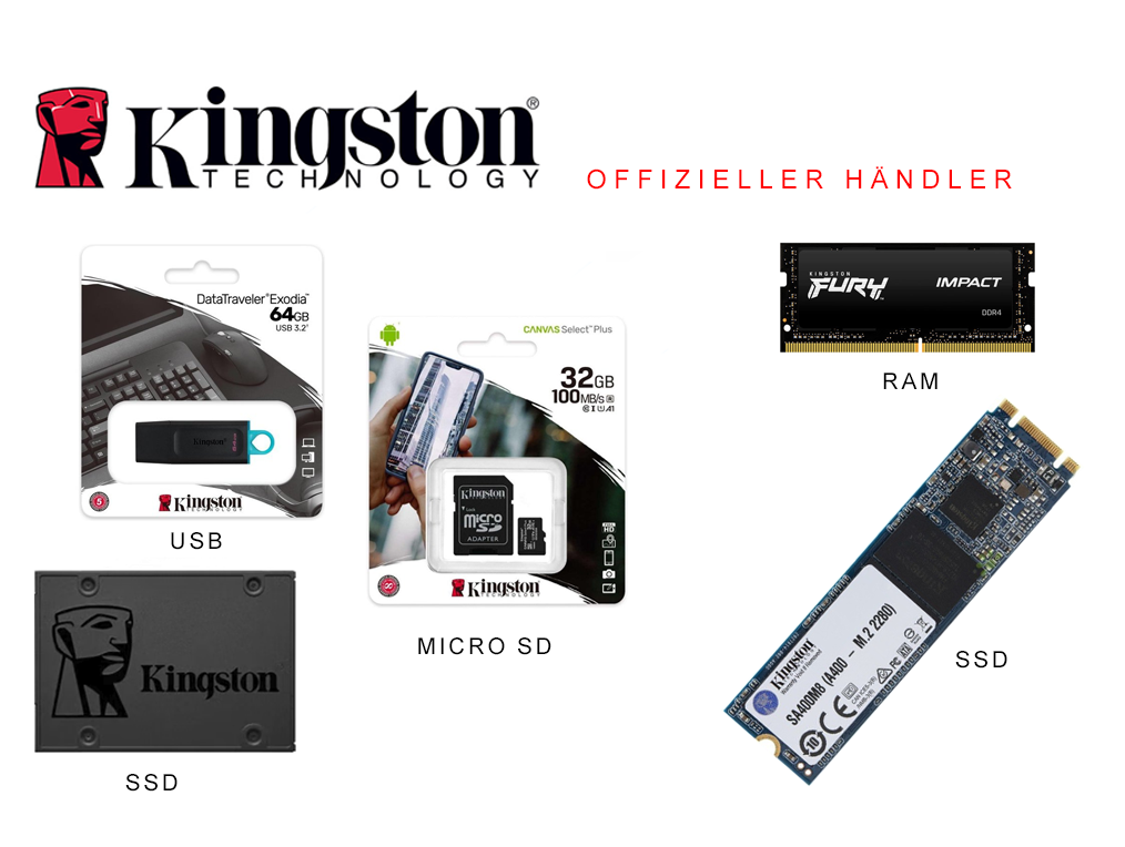 Kingston DE