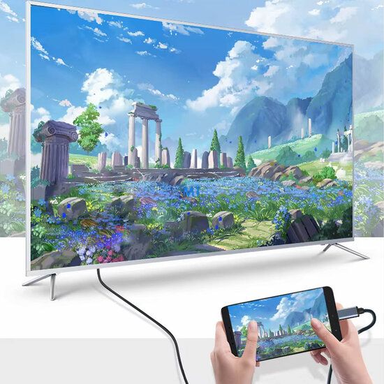 GREEN ON HDTV To USB-C Adapter 4K 2M GR75