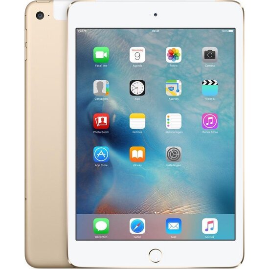 Used IPad Mini 4 128GB WiFi Gold