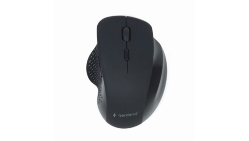 Souris