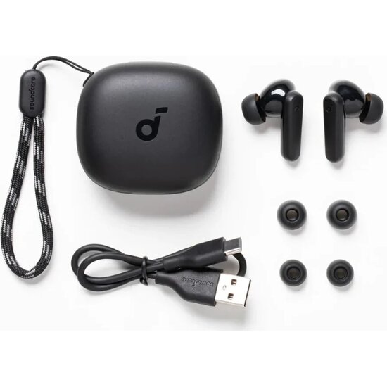 Anker Soundcore R50i