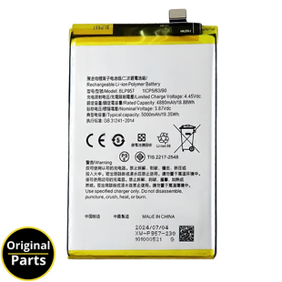 Battery Realme 10  - 6060069 BLP957  - Service Pack