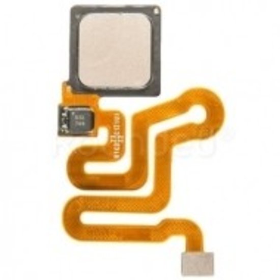 Power Flex Ascend P9