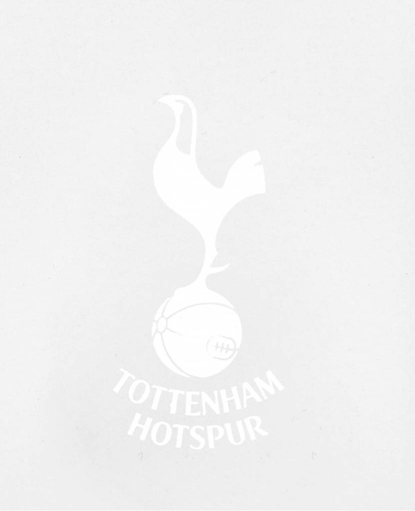 FC Tottenham Hotspur Clear TPU I-Phone 6/6S, foto 2 van 2