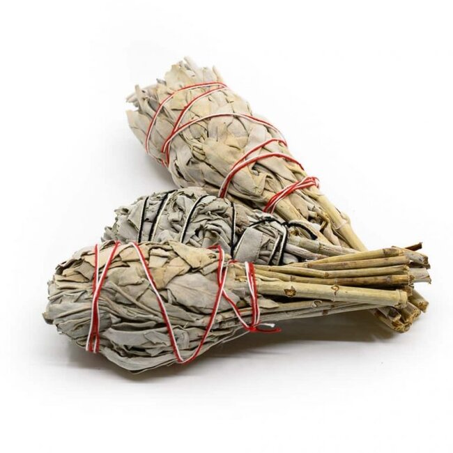 Witte Salie smudge stick