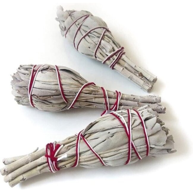 Räucherstäbchen aus weißem Salbei