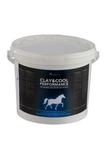 Synovium Synovium Clay & Cool argile rafraîchissante 1,5 kg
