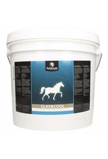 Synovium Synovium Clay & Cool argile rafraîchissante 5 kg