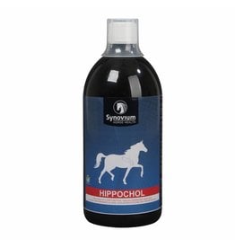 Synovium Synovium Hippochol 1 litro
