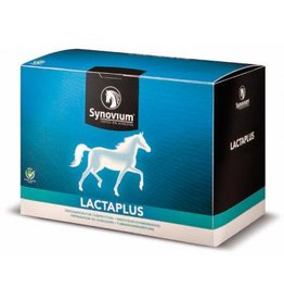 Synovium Synovium Lactaplus 6 x 40 g