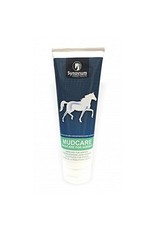 Synovium Synovium Mudcare skin ointment 250 g