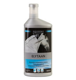 Equistro Elytaan