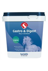 Sectolin Vetinal Sectolin Vetinal Gastro & Digest para estómago e intestino 1,75 kg