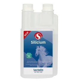 Sectolin Vetinal Sectolin Vetinal Silicio 1 L