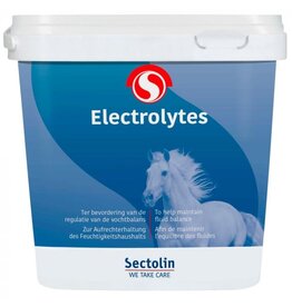 Sectolin Vetinal Sectolin Vetinal Electrolyte 3 kg