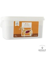 Equine Result R-Gut Wellness para una flora intestinal sana