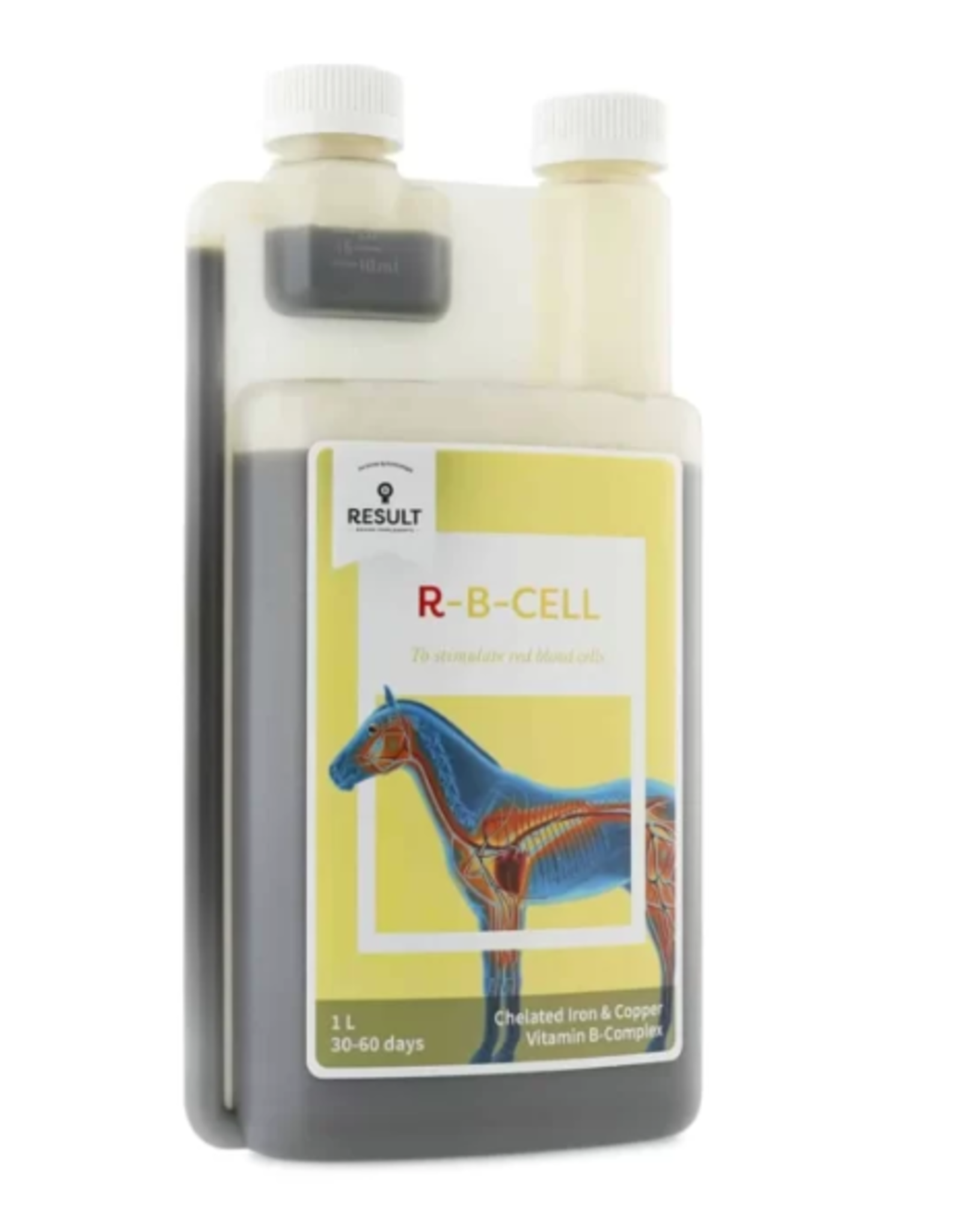 Equine Result R – B-CELL