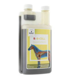 Equine Result R – B-CELL