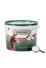 Primeval Primeval Gelatinaat para articulaciones, tendones y cascos 5 kg