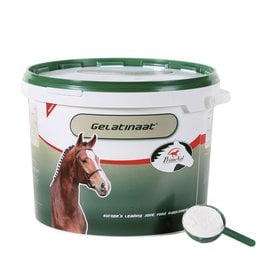 Primeval Primeval Gelatinaat 5 kg