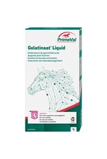 Primeval Gelatinaat Liquid Primeval 1L