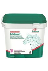 Primeval Gelatinate 2kg