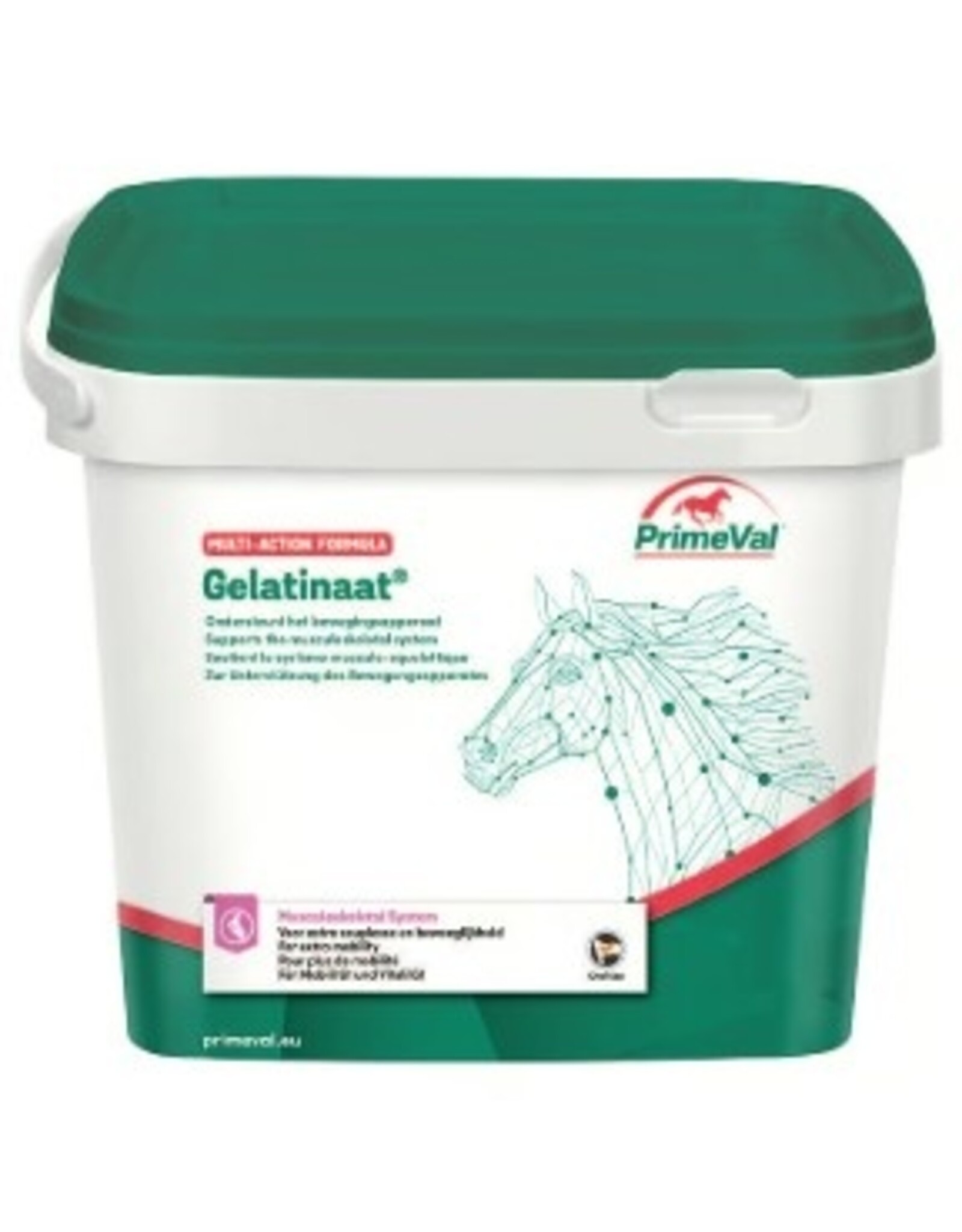 Primeval Gelatinate 2kg