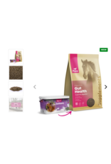 Pavo Pavo Gut Health 4.5kg